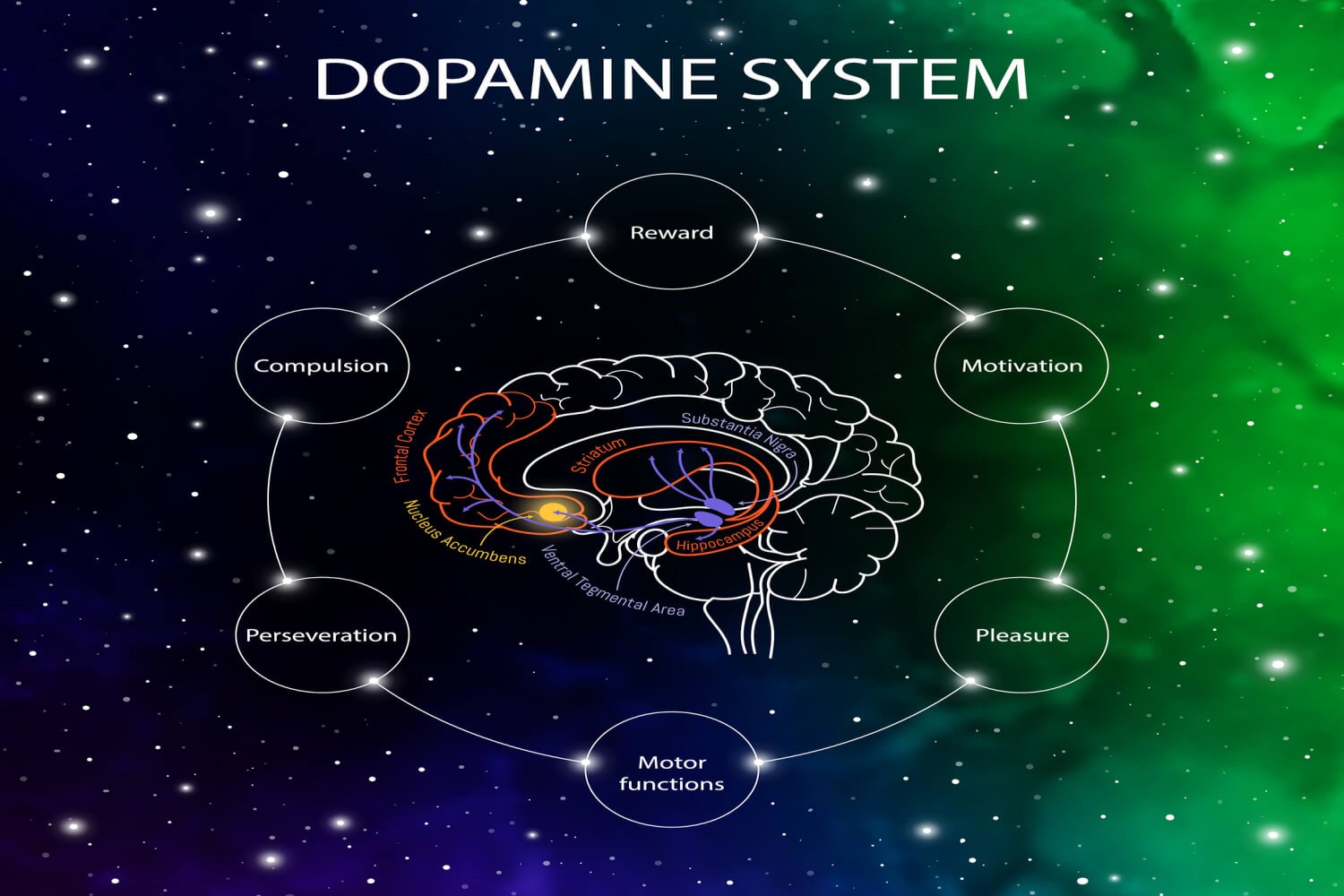 Dopamine porn use